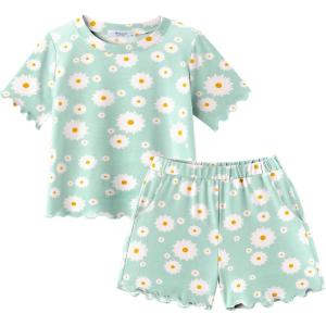 Arshiner Toddler Girls Clothes Ruffle Short Sleeves Crewneck Tops and Shorts with Pockets Cute Summer 2 Pieces Short Sets(Green Daisy)