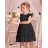 Arshiner Flower Girl Dress Toddler Lace Tutu Ruffle Sleeve Wedding Birthday Party Tulle Dresses(Black)