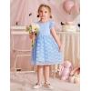 Arshiner Flower Girl Dress Toddler Lace Tutu Ruffle Sleeve Wedding Birthday Party Tulle Dresses(Blue)