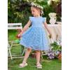 Arshiner Flower Girl Dress Toddler Lace Tutu Ruffle Sleeve Wedding Birthday Party Tulle Dresses(Blue)