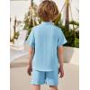 Arshiner Toddler Boys 2 Piece Set Short Sleeve Button Down Shirt and Shorts Vacation Texture Outfits with Pocket 2-8 Years(Light Blue)