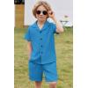Arshiner Toddler Boys 2 Piece Summer Outfits Waffle Knit Short Sleeve Button Down Shirt & Casual Shorts Sets Size 2-7(Blue)