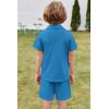 Arshiner Toddler Boys 2 Piece Summer Outfits Waffle Knit Short Sleeve Button Down Shirt & Casual Shorts Sets Size 2-7(Blue)