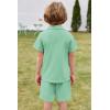 Arshiner Toddler Boys 2 Piece Summer Outfits Waffle Knit Short Sleeve Button Down Shirt & Casual Shorts Sets Size 2-7(Light Green)