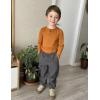Arshiner Toddler Boys 3 Pack Long-Sleeve Henley T-Shirts Casual Cotton Graphic Shirt for 2-9 Years(White/Black/Brown)