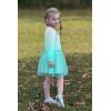 Arshiner Toddler Girl Clothes Long Sleeve Pullover Sweatshirt and Tutu Skirt 2 Piece Outfits Kids Clothing Set Party Dress(Blue White)