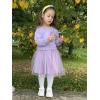 Arshiner Toddler Girl Clothes Long Sleeve Pullover Sweatshirt and Tutu Skirt 2 Piece Outfits Kids Clothing Set Party Dress(Rainbow)
