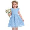 Arshiner Flower Girl Dress Toddler Lace Tutu Ruffle Sleeve Wedding Birthday Party Tulle Dresses(Blue)