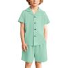 Arshiner Toddler Boys 2 Piece Summer Outfits Waffle Knit Short Sleeve Button Down Shirt & Casual Shorts Sets Size 2-7(Light Green)