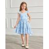 Arshiner Toddler Girls Dress Ruffle High-Low Hem Smocked Dresses Summer Beach Butterfly Sundress with Pocket(Blue Floral)