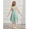 Arshiner Toddler Girls Dress Ruffle High-Low Hem Smocked Dresses Summer Beach Butterfly Sundress with Pocket(Green)