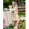 Arshiner Toddler Girls Dress Ruffle High-Low Hem Smocked Dresses Summer Beach Butterfly Sundress with Pocket(Khaki Floral)
