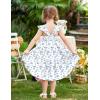 Arshiner Toddler Girls Dress Ruffle High-Low Hem Smocked Dresses Summer Beach Butterfly Sundress with Pocket(White Blue Floral)