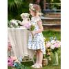 Arshiner Toddler Girls Dress Ruffle High-Low Hem Smocked Dresses Summer Beach Butterfly Sundress with Pocket(White Blue Floral)