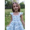 Arshiner Toddler Girls Dress Ruffle High-Low Hem Smocked Dresses Summer Beach Butterfly Sundress with Pocket(White Blue Floral)