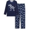 Arshiner Boys Pajamas Set Long Sleeve Sleepwear 2 Piece Pajama Set for Big Boys 6-14 Years(Dinosaur)