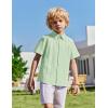 Arshiner Boys Cuban Guayabera Shirt Short Sleeve Button Down Shirt Summer Casual Linen Shirts for Kids 4-12 Years(Light Green)