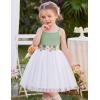 Arshiner Toddler Tulle Dress Summer Spaghetti Strap Party Tutu Flower Girl Dresses with Belt 3-8Y(Ice Green)