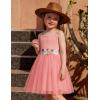 Arshiner Toddler Tulle Dress Summer Spaghetti Strap Party Tutu Flower Girl Dresses with Belt 3-8Y(Light Pink)