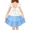 Arshiner Toddler Dress Little Girls Summer Cotton Backless High Low Hem Beach Casual Sundress with Pockets(Blue Color Block)