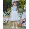 Arshiner Toddler Girls Tutu Dress Bow Shoulder Tulle Sleeveless Dresses Summer Party Sundress for 2-8Y(Blue White Striped)