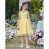Arshiner Toddler Girls Tutu Dress Bow Shoulder Tulle Sleeveless Dresses Summer Party Sundress for 2-8Y(Yellow Gingham)