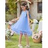 Arshiner Toddler Girl Tulle Dress Baby Girl Tutu Birthday Party Princess Dresses Tiered High Low Summer Sundress for 2-8Y(Clear Blue)