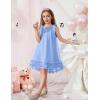 Arshiner Toddler Girl Tulle Dress Baby Girl Tutu Birthday Party Princess Dresses Tiered High Low Summer Sundress for 2-8Y(Clear Blue)