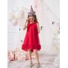 Arshiner Toddler Girl Tulle Dress Baby Girl Tutu Birthday Party Princess Dresses Tiered High Low Summer Sundress for 2-8Y(Red)