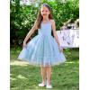 Arshiner Toddler Girls Tulle Dress Rainbow Tutu Birthday Princess Dresses Formal Photoshoot Outfit Summer Clothes 2-8T(Blue – Heart Tulle)