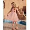 Arshiner Toddler Girls Tulle Dress Rainbow Tutu Birthday Princess Dresses Formal Photoshoot Outfit Summer Clothes 2-8T(Dusty Pink – Dot Tulle)