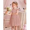 Arshiner Flower Girl Dress Toddler Lace Tutu Ruffle Sleeve Wedding Birthday Party Tulle Dresses(Dusty Pink)