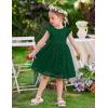 Arshiner Flower Girl Dress Toddler Lace Tutu Ruffle Sleeve Wedding Birthday Party Tulle Dresses(Green)
