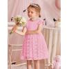 Arshiner Flower Girl Dress Toddler Lace Tutu Ruffle Sleeve Wedding Birthday Party Tulle Dresses(Pink)