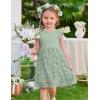Arshiner Flower Girl Dress Toddler Lace Tutu Ruffle Sleeve Wedding Birthday Party Tulle Dresses(Sage Green)