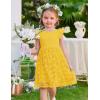 Arshiner Flower Girl Dress Toddler Lace Tutu Ruffle Sleeve Wedding Birthday Party Tulle Dresses(Yellow)