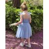 Arshiner Toddler Tulle Dress Girls Spaghetti Strap Birthday Princess Photoshoot Tutu Dresses(Light Blue)