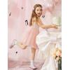 Arshiner Toddler Baby Girl Birthday Princess Dress Girls Spaghetti Strap Tulle Tutu Dresses Summer Mini Sundress 1-8Y(Light Pink)