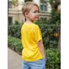 Arshiner Boys UPF 50+ Rash Guard Swim Shirts Short Sleeve Quick Dry UV Protection Sun Shirt for Boys and Girls(Yellow)