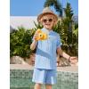 Arshiner Boys 2 Piece Summer Beach Outfits Textured Henley Shirts and Shorts Set Casual Vacation Clothes for 4-12 Years Kids(Light Blue)