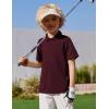 Arshiner Boys Golf Polo Shirt Uniform Short Sleeve Button Collared Tee Casual Performance Active T Shirt Size 4-13 Years(Dark Red)