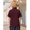 Arshiner Boys Golf Polo Shirt Uniform Short Sleeve Button Collared Tee Casual Performance Active T Shirt Size 4-13 Years(Dark Red)