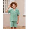 Arshiner Toddler Baby Boy 2 Pieces Summer Beach Outfits Short Sleeve Button Down Shirts and Shorts Vacation Texture Set