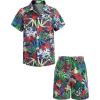 Arshiner Boys 2 Piece Outfits Hawaiian Shorts Sets Button Down Shirt and Shorts Summer Beach Clothes for 2-12 Years(Green – Tropical Print)