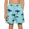 Arshiner Boys Swim Trunks Quick Dry Bathing Suit Boys Swim Shorts Stretch Swimsuit 6-14 Years(Shark – Green)