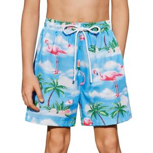 Arshiner Boys Swim Trunks Quick Dry Bathing Suit Boys Swim Shorts Stretch Swimsuit 6-14 Years(Flamingo – Blue)