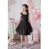 Arshiner Flower Girl Dress A-Line Formal Lace Party Dresses for Wedding Communion Princess Holiday Sundress with Belt(Black)