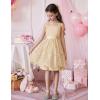 Arshiner Flower Girl Dress A-Line Formal Lace Party Dresses for Wedding Communion Princess Holiday Sundress with Belt(Ivory)