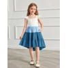 Arshiner Toddler Girls Dress Ruffle High-Low Hem Smocked Dresses Summer Beach Butterfly Sundress with Pocket(Blue Color Block)