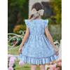 Arshiner Toddler Girls Dress Ruffle Sleeveless Button Down Dresses Summer Beach Casual Sundress with Pocket for 1-7Y(Blue Floral)
